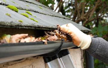 gutter cleaning Blacklunans, Perth And Kinross
