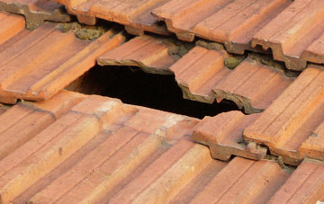 roof repair Blacklunans, Perth And Kinross